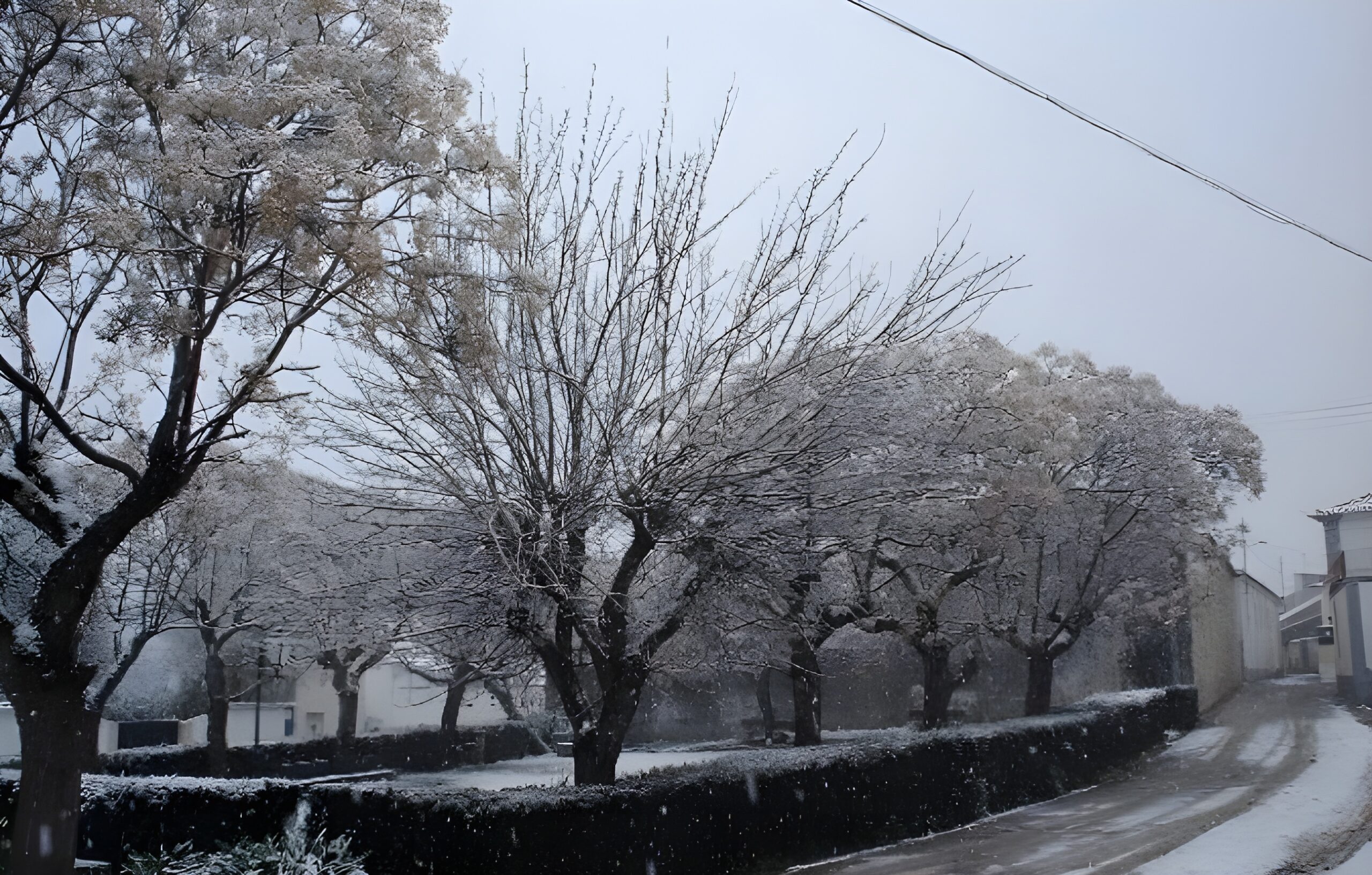 soudos_neve_e212367a0172ecc7b5525a612bb93059[1]